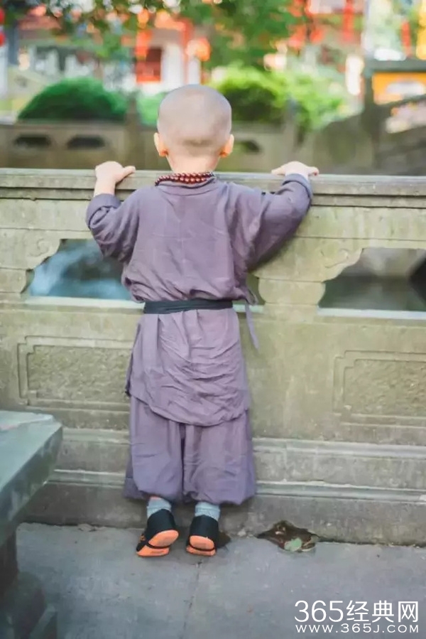 灵隐寺最萌小和尚腾腾海量萌照 年仅两岁萌翻网友