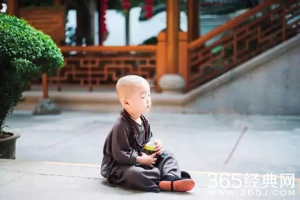 灵隐寺最萌小和尚腾腾海量萌照 年仅两岁萌翻网友