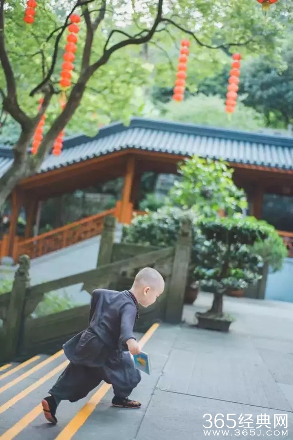 灵隐寺最萌小和尚腾腾海量萌照 年仅两岁萌翻网友