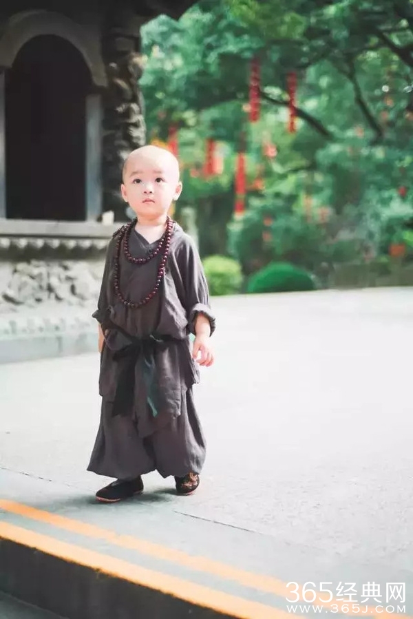 灵隐寺最萌小和尚腾腾海量萌照 年仅两岁萌翻网友