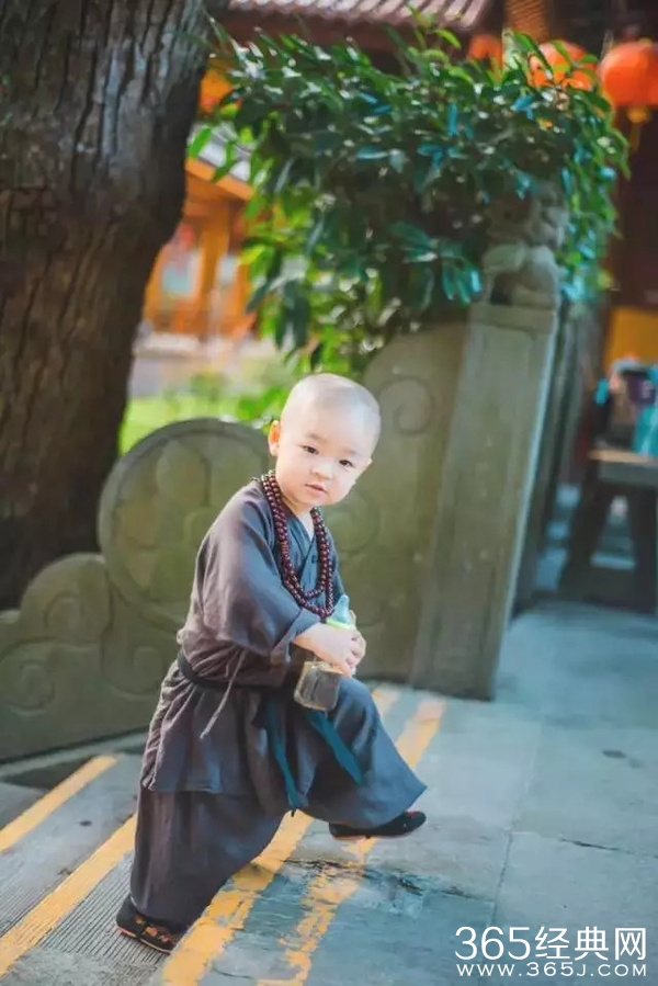 灵隐寺最萌小和尚腾腾海量萌照 年仅两岁萌翻网友