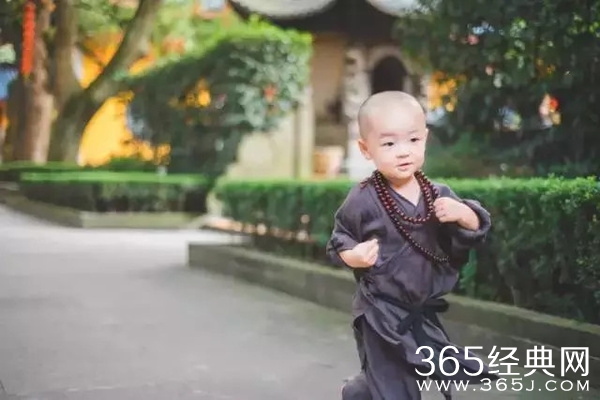灵隐寺最萌小和尚腾腾海量萌照 年仅两岁萌翻网友
