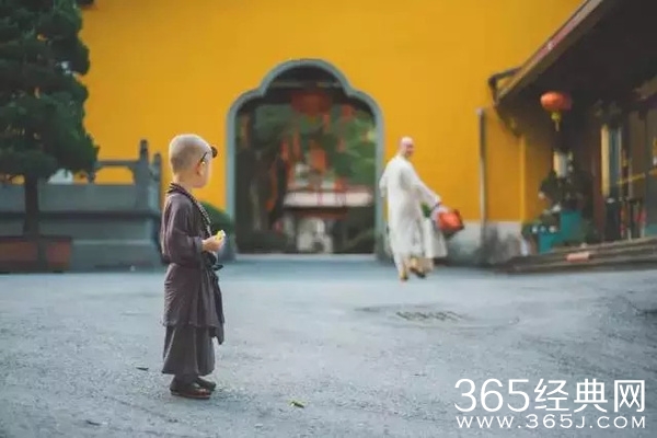 灵隐寺最萌小和尚腾腾海量萌照 年仅两岁萌翻网友