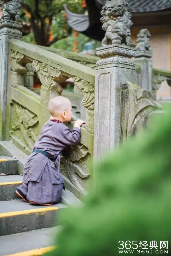 灵隐寺最萌小和尚腾腾海量萌照 年仅两岁萌翻网友