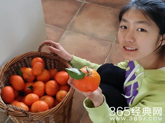 张子健14岁女儿名字近照曝光 张子健老婆是谁受关注