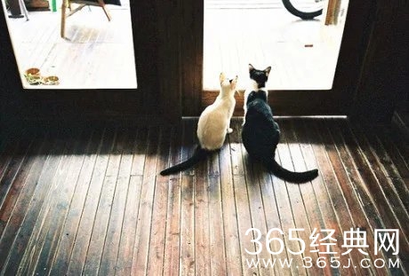 早安心语：失望攒够了自然会松手。2015.09.18