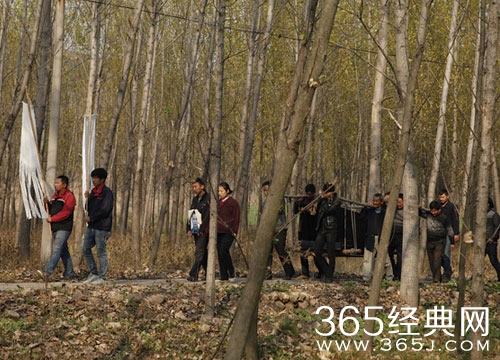 心迷宫影评 心迷宫评价