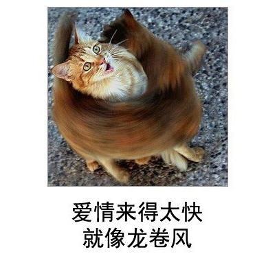 经典哥：听到最浪漫的情话！2015.09.23