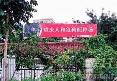 经典哥：听到最浪漫的情话！2015.09.23