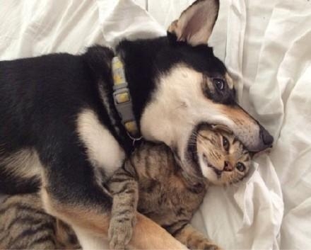 经典哥：听到最浪漫的情话！2015.09.23