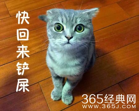 经典哥：听到最浪漫的情话！2015.09.23