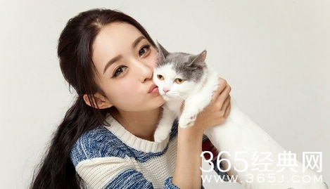 极限挑战大电影女主角会是谁？网曝内定女主角是赵丽颖