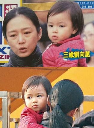 刘德华是否加盟爸爸去哪儿第四季