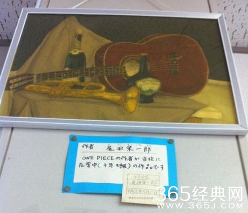 海贼王漫画作者是谁 海贼王作者尾田荣一郎个人资料