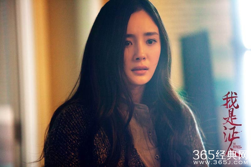 我是证人影评 我是证人评价