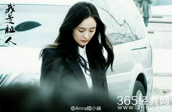 我是证人影评 我是证人评价