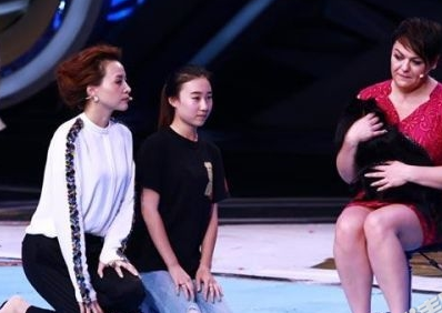 董卿《挑战不可能》给狗下跪 狐狸狗能够催眠人是不是真的