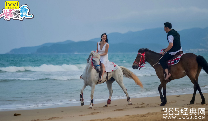 如果爱第二季第20151001期精彩看点