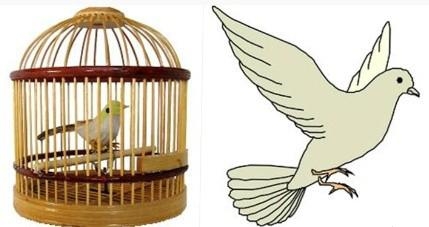 经典哥：爷的脸被你丢光了！2015.09.28