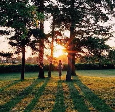 别人看不起你时,你该怎么做