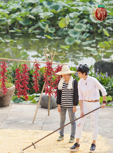 偶像来了第20151003期预告视频在线观看