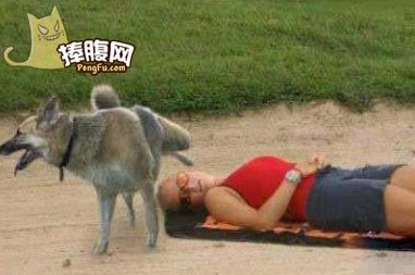 新闻哥：论自拍杆的正确使用方法！2015.09.29