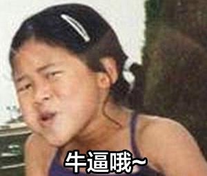 新闻哥：论自拍杆的正确使用方法！2015.09.29