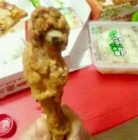 新闻哥：论自拍杆的正确使用方法！2015.09.29