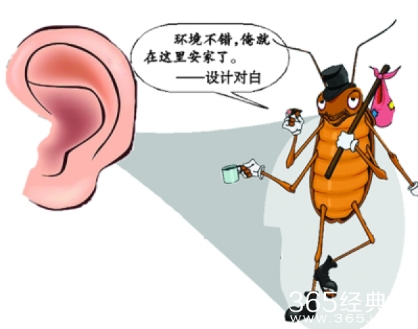 女子耳内夹出蜘蛛