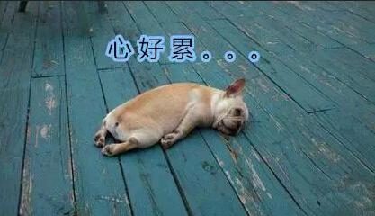 新闻哥：今天你们都认真在上班吗？2015.09.30