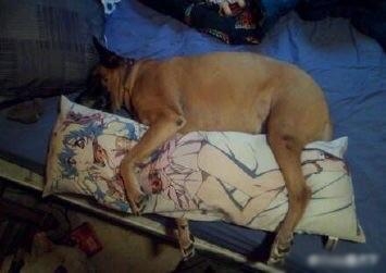 新闻哥：今天你们都认真在上班吗？2015.09.30