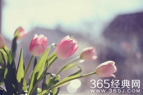 看得太远,未必就好