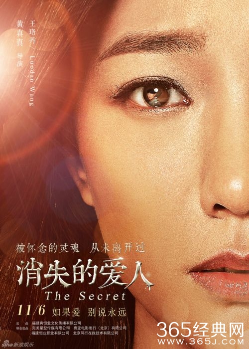 消失的爱人影评