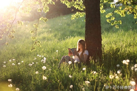 早安心语：讨厌你的人永远干不掉你！2015.09.30