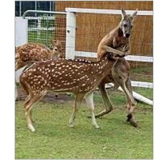 新闻哥：今天你们都认真在上班吗？2015.09.30