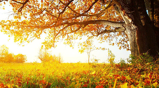 别总给自己留退路