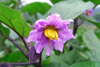 新闻哥：今天你们在神游么？2015.10.08