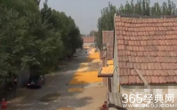 山东村庄时间变快 无法分辨方向