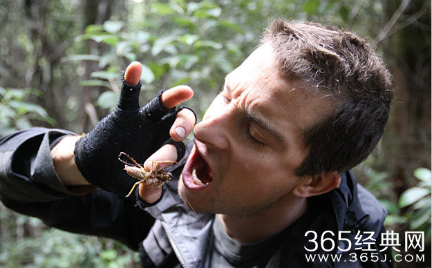 跟着贝尔去冒险播出时间曝光 跟着贝尔去冒险什么时候播出？