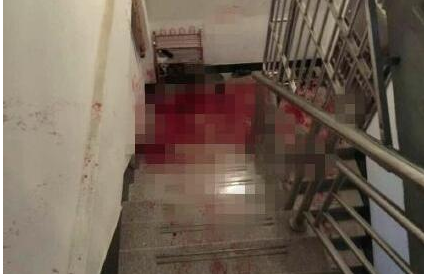 林丽娴为什么会被公公林玉照砍死杀害 林丽娴个人资料照片