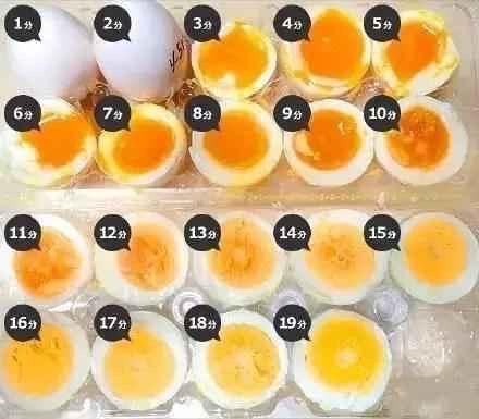 新闻哥：你们想得到我的身体吗？2015.10.10