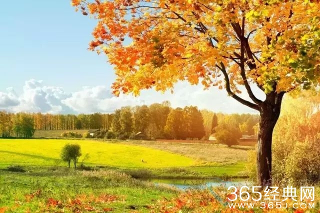 烟氲秋意,火起歌唤