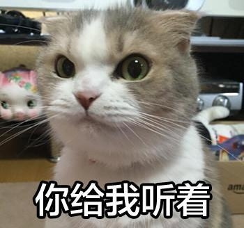 新闻哥：你们想得到我的身体吗？2015.10.10