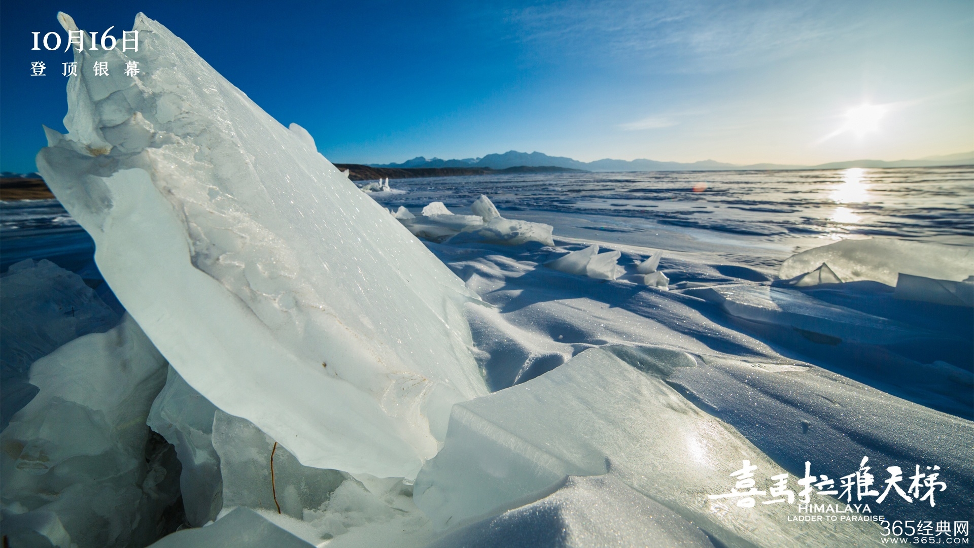 喜马拉雅天梯影评 喜马拉雅天梯评价