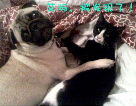 新闻哥：做好事为什么这么难？2015.10.14