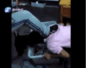 焦作初中女生被同学威胁跪地吃垃圾视频观看