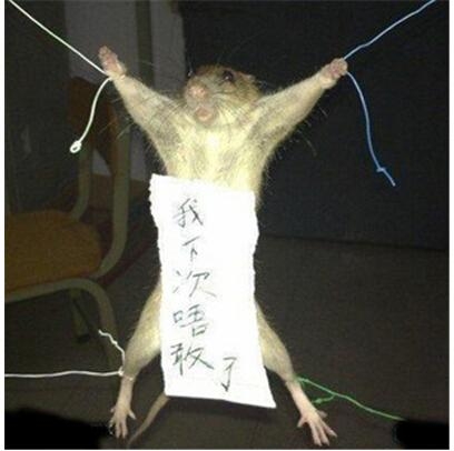 新闻哥：做好事为什么这么难？2015.10.14