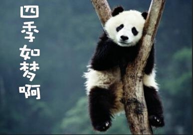 新闻哥：做好事为什么这么难？2015.10.14