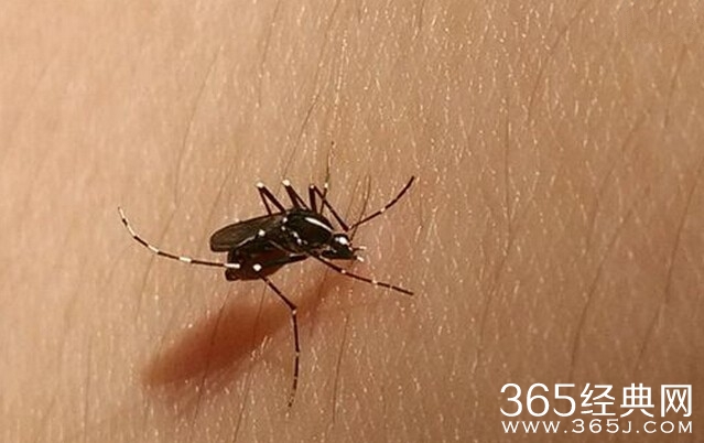 遭昆虫叮咬后截瘫 四肢瘫痪不能自理