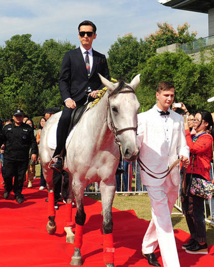 胡歌大好时光骑马是什么品种 胡歌大好时光阿拉伯白马